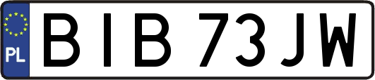 BIB73JW