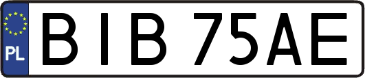 BIB75AE