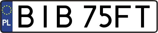 BIB75FT