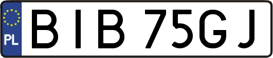 BIB75GJ