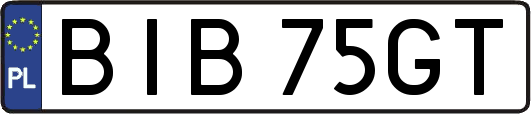 BIB75GT