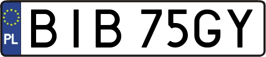 BIB75GY