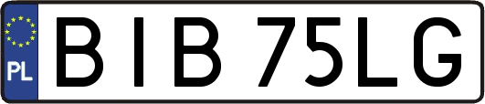 BIB75LG