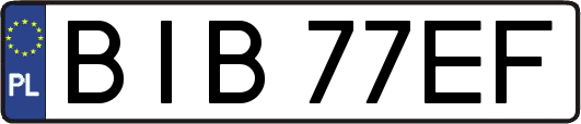 BIB77EF