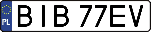 BIB77EV