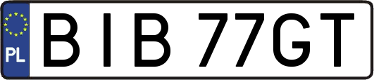 BIB77GT