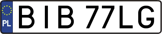 BIB77LG
