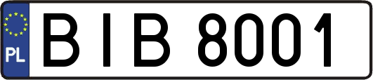 BIB8001