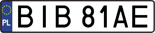 BIB81AE