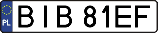 BIB81EF