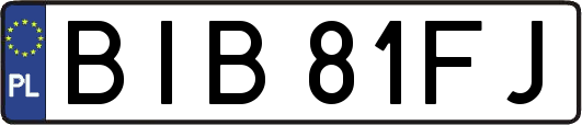 BIB81FJ
