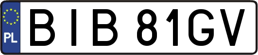 BIB81GV