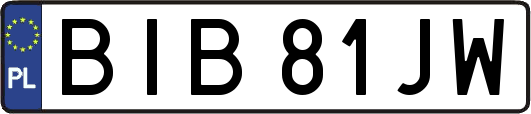 BIB81JW