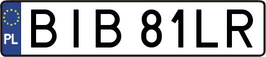 BIB81LR