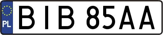 BIB85AA
