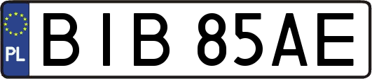 BIB85AE