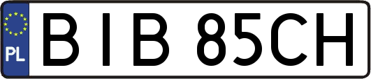 BIB85CH