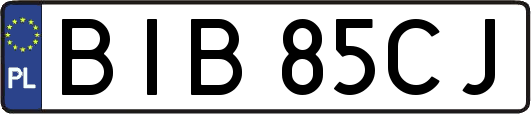 BIB85CJ