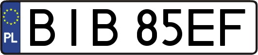 BIB85EF
