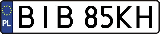 BIB85KH