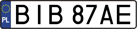 BIB87AE
