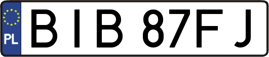 BIB87FJ