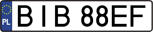 BIB88EF