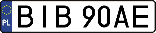 BIB90AE