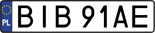 BIB91AE