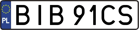 BIB91CS