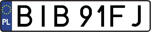 BIB91FJ