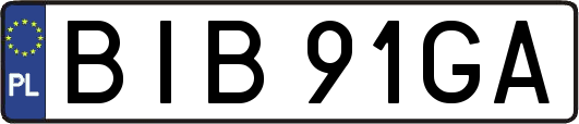 BIB91GA