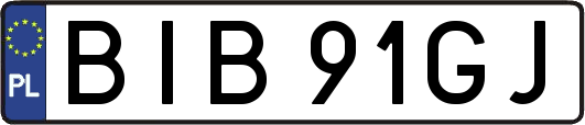 BIB91GJ