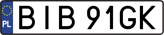 BIB91GK
