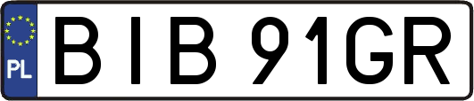 BIB91GR