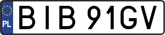 BIB91GV