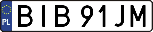 BIB91JM