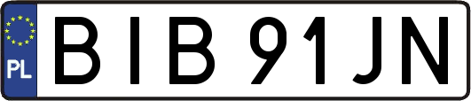 BIB91JN