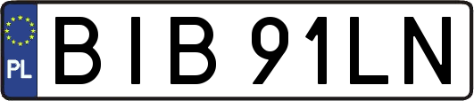 BIB91LN