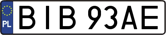 BIB93AE