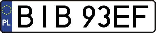 BIB93EF