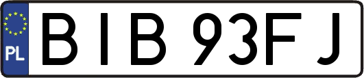 BIB93FJ