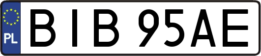 BIB95AE