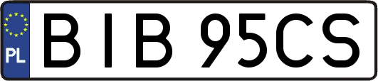 BIB95CS