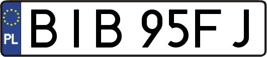 BIB95FJ