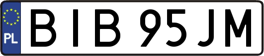 BIB95JM