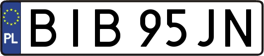 BIB95JN