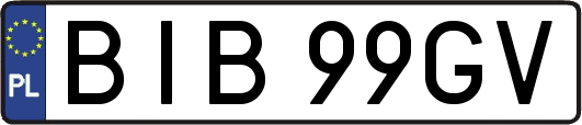 BIB99GV