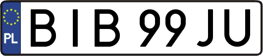 BIB99JU