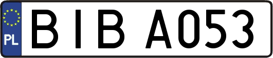 BIBA053